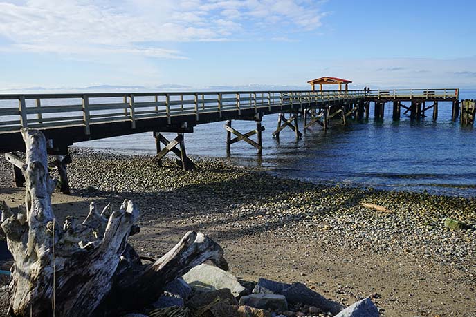 langdale pier, beaches