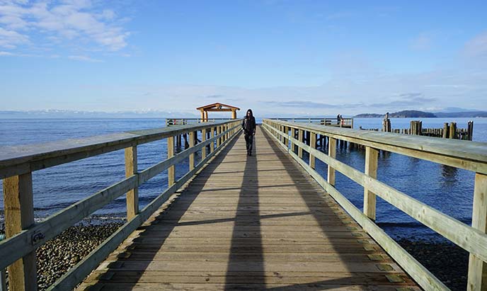 sunshine coast beach, wood jetty