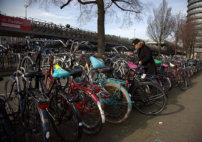 bicycle racks netherlands