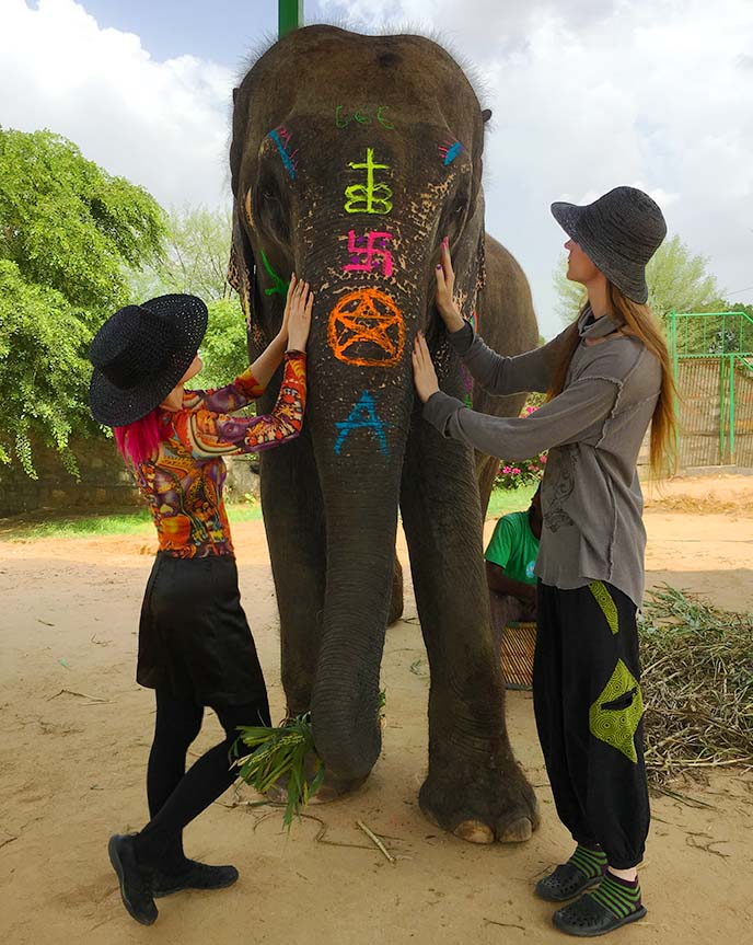 jaipur elephant village