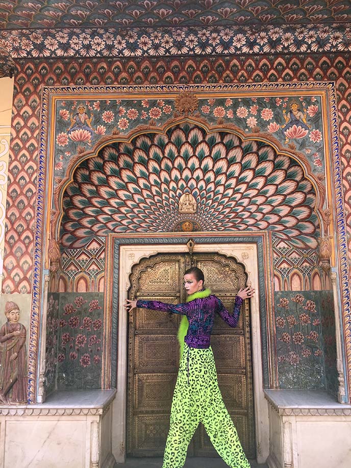 peacock feathers gate india