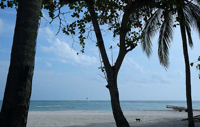 beach bungalow rental langkawi