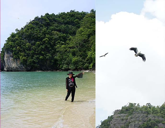 langkawi eagles, eagle watching