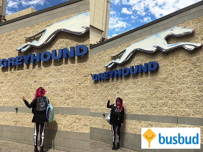 greyhound busbud bus trip