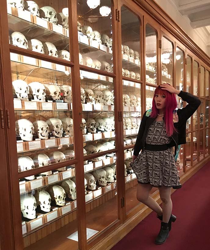 mutter museum Philadelphia skull collection