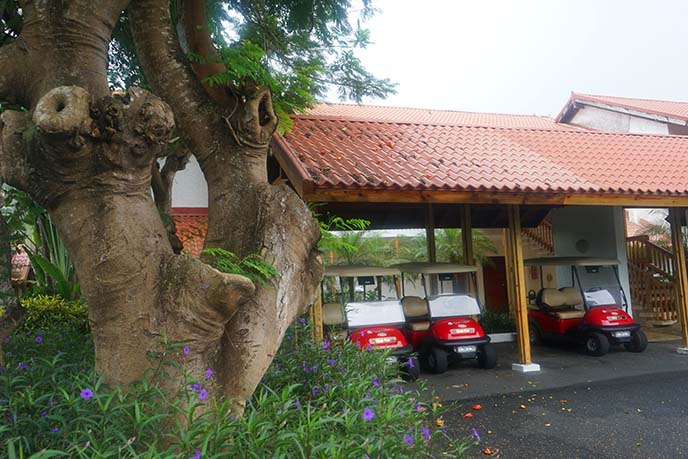 casa de campo golf villas carts