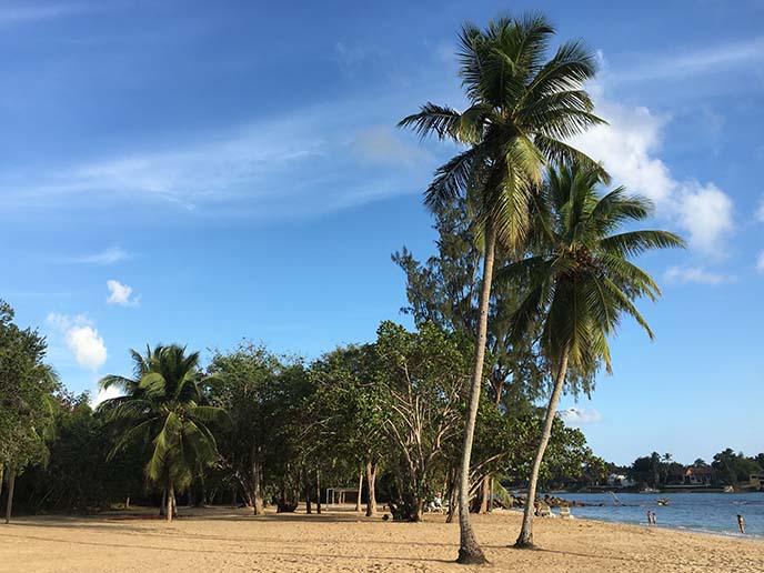 secluded beaches dominican republic