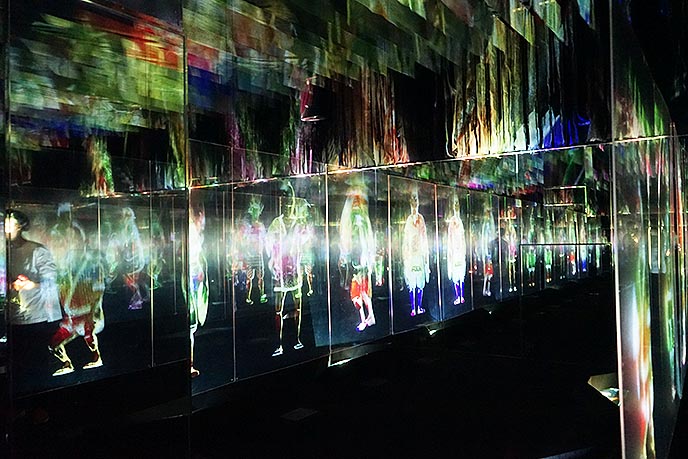 teamlab borderless exhibitions