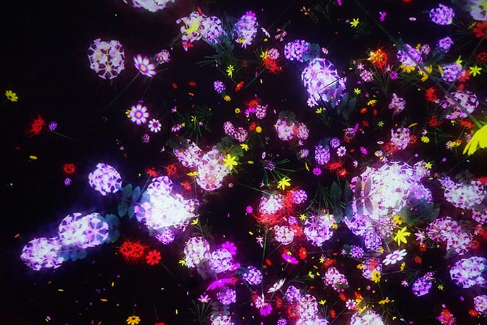 tokyo light installations teamlab planet