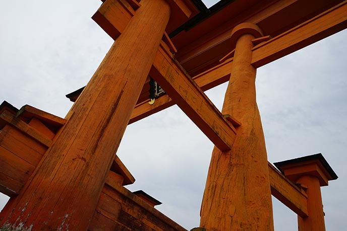 floating torii closeup