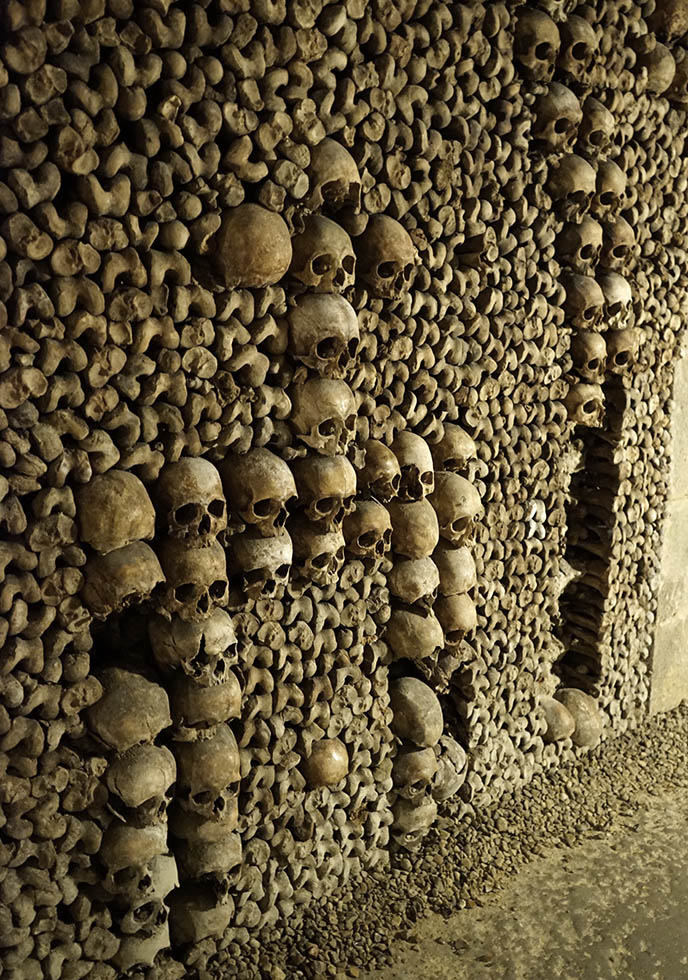 creepy paris skull collection catacombs tickets