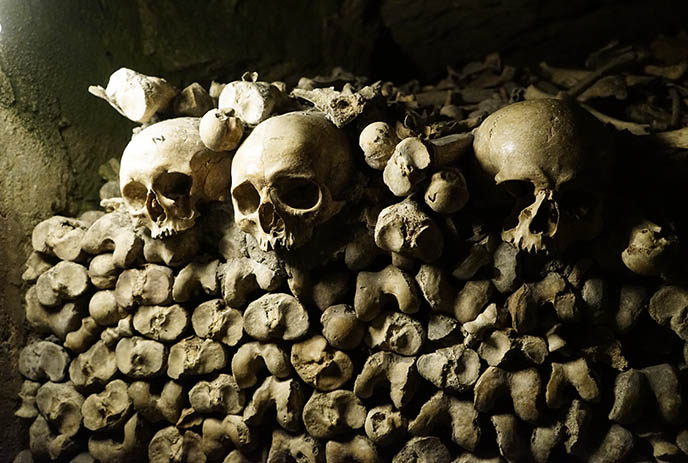 human remains skull bones paris underground