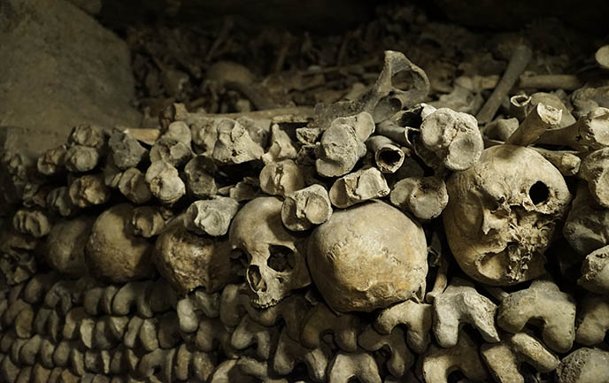 human skulls paris catacombs