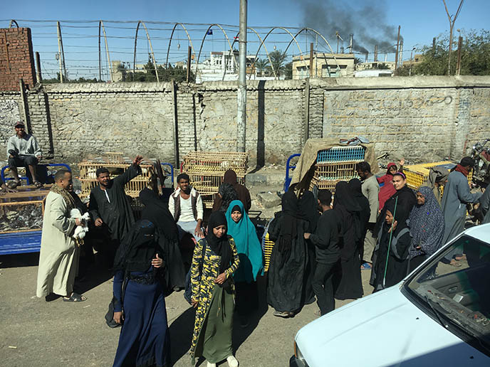 egypt women in burkas