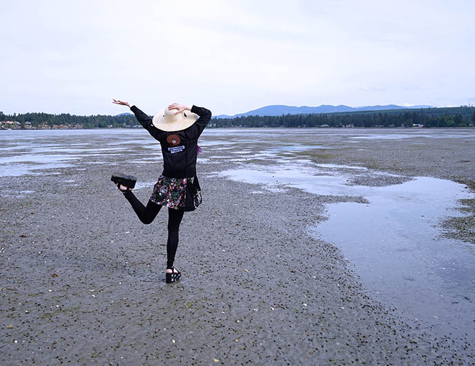 Rathtrevor Beach Park parksville beaches