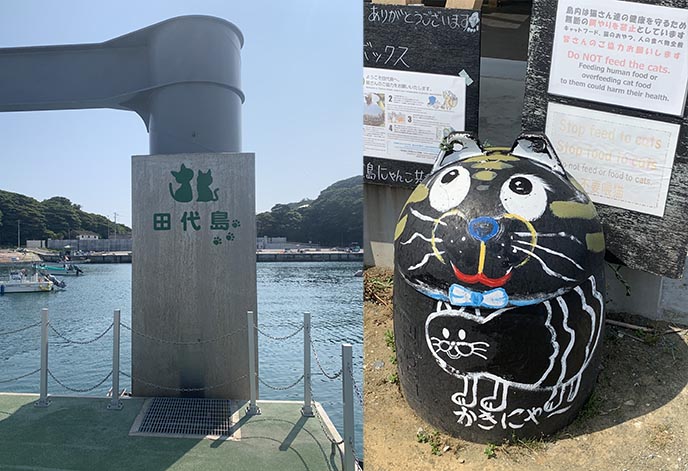 ferry to cat island japan