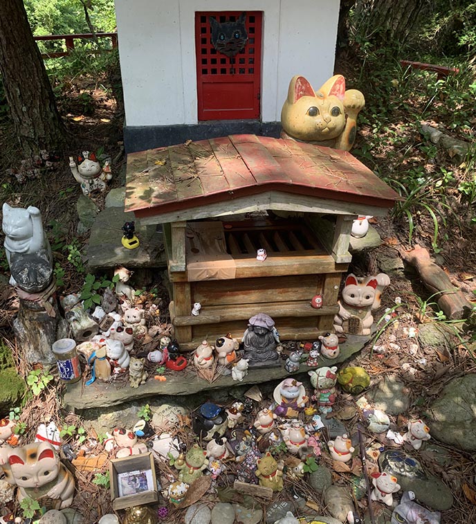 neko jinja cat shrine island tashiro jima