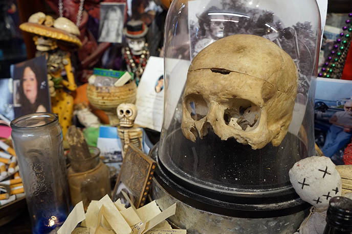 human skull, voodoo altar witches