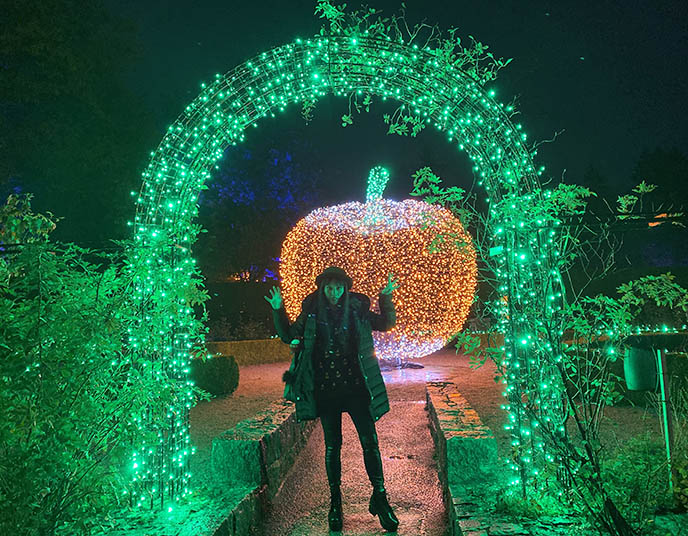 big glowing pumpkin cinderella lights 