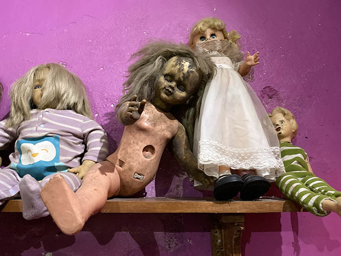 museo paranormal doll collection