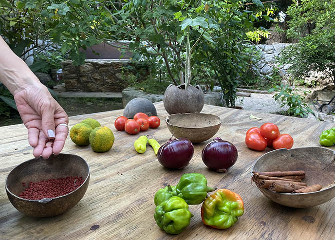 yucatan mexican ingredients cooking school