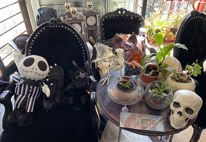 Face-framing chunky hair highlights & Goth Occult guide to Mexico City!  Gothic clothing shops, Sonora market, witch bar. | La Carmina Blog -  Alternative Fashion, Goth Travel, Subcultures