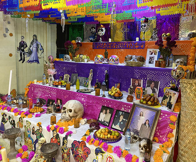 witches market spells shaman mexico city sonora