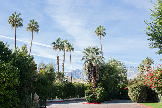 palm springs parker hotel location address