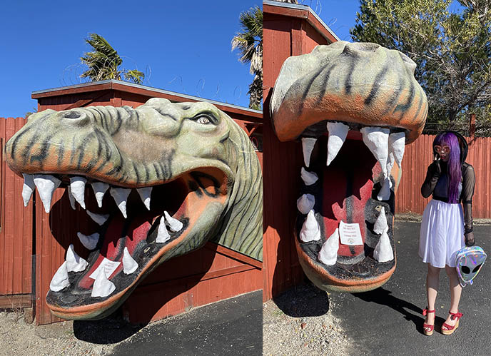 cabazon dinosaurs weird creationists roadside attraction