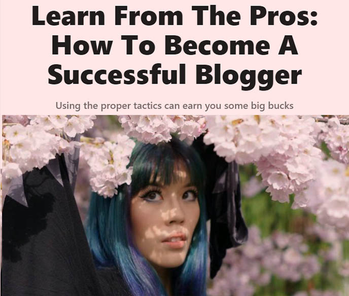 professional travel bloggers tips making money monetizing blogs 