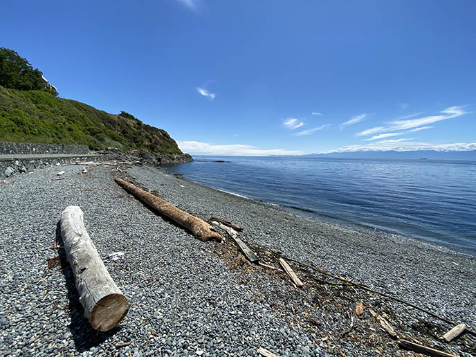 willows beach victoria logs scenery