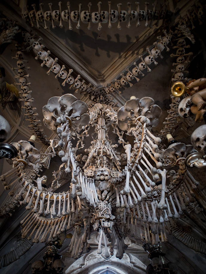 bone chandelier sedlec cathedral skeleton church