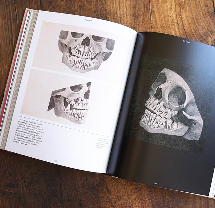 Anatomica: The Exquisite and Unsettling Art of Human Anatomy 