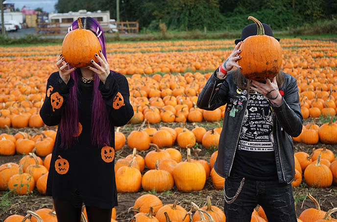 pumpkin over face head photos instagram