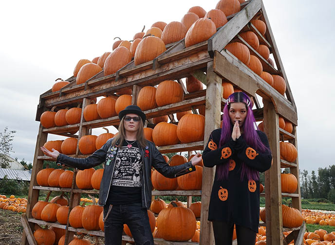 maan farms pumpkin house halloween vancouver