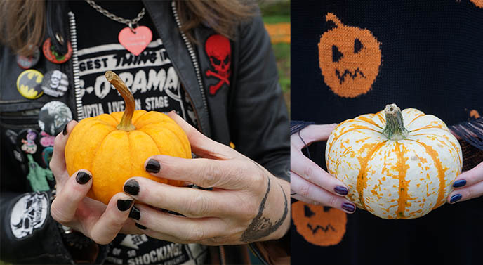 goth halloween designer sweaters pumpkins design