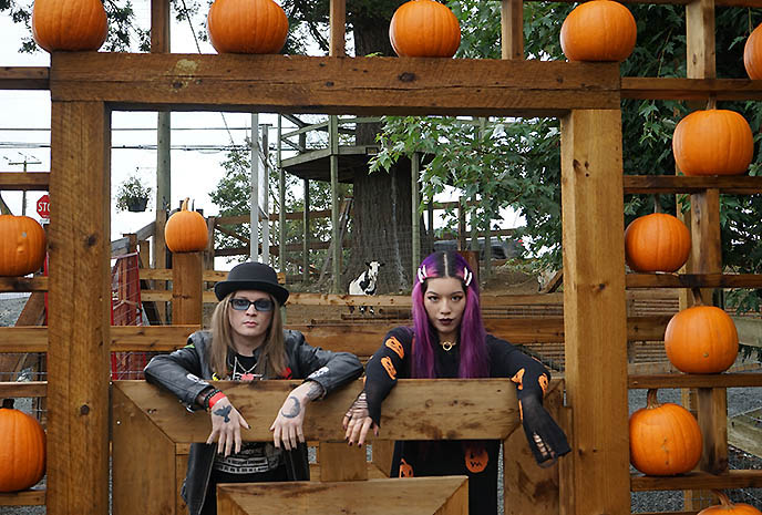 Pumpkin Patches Across Metro Vancouver guide