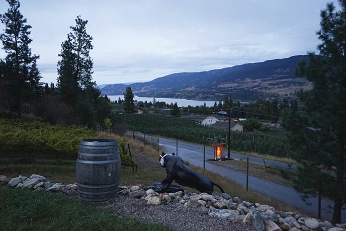 kelowna bc at night evening tastings