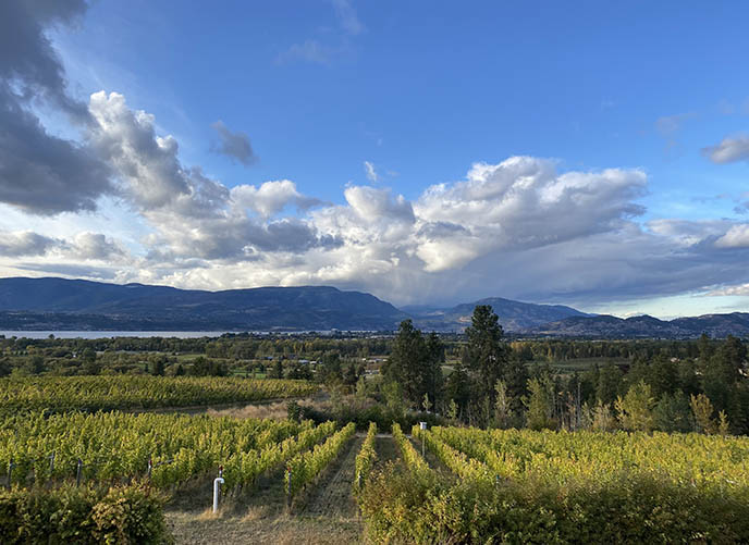 kelowna most beautiful photogenic vineyards wineries photoshoot