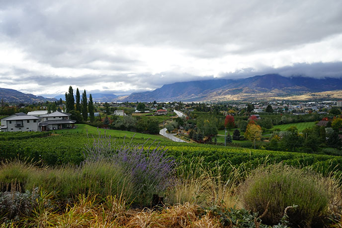 naramata independent best wineries vineyards