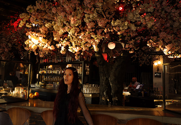 cloak and petal cherry blossom tree sakura inside restaurant