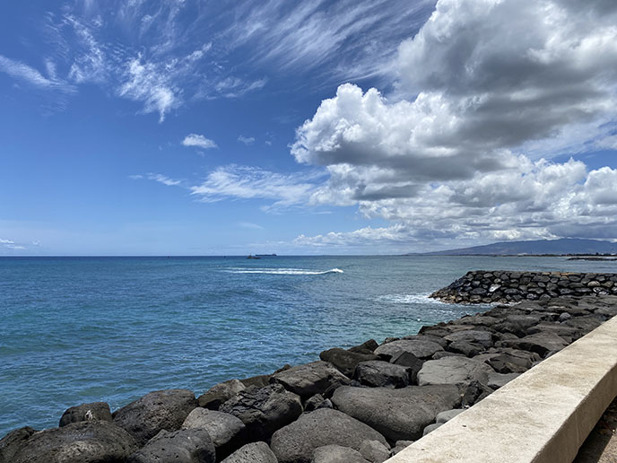 Kakaako Waterfront Park ocean rocks