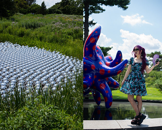 yayoi kusama cosmic nature tickets review nybg