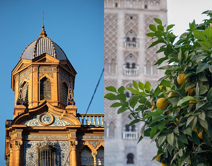 orange trees seville history