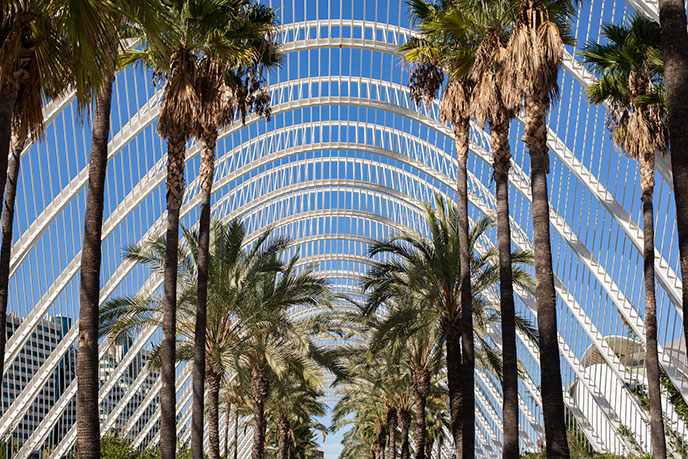 Walkway canopy of L'Umbracle city arts sciences