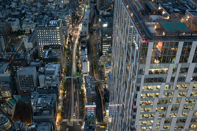 shibuya sky observation deck carmen wong