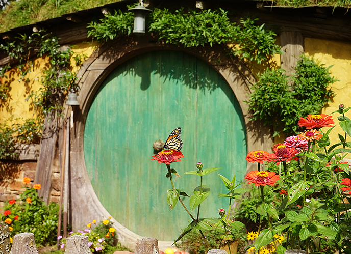 new zealand hobbiton tours hobbit homes travel film locations tourism