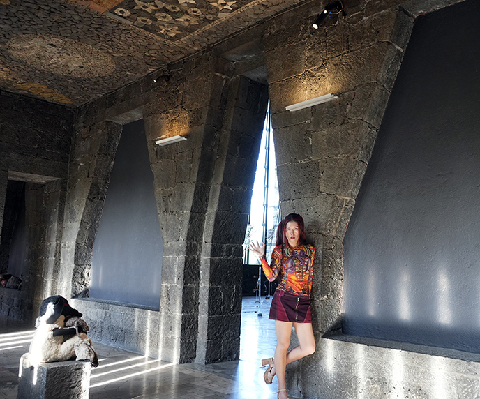 mexico city diego rivera frank lloyd wright organic architecture doorways