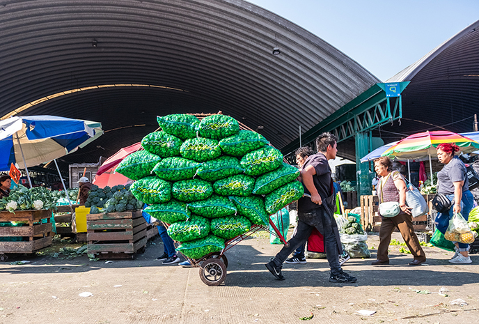 central de abasto world's largest wholesale market mexico workers 