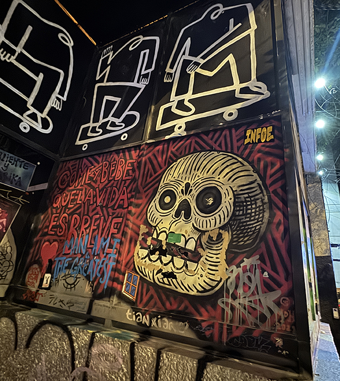  mexico city spooky haunted goth skulls mural wall
